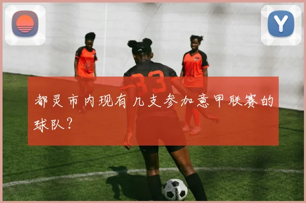 都灵市内现有几支参加意甲联赛的球队？