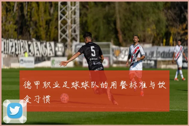 德甲职业足球球队的用餐标准与饮食习惯